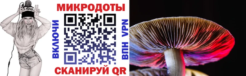 Галлюциногенные грибы Magic Shrooms  Рославль 
