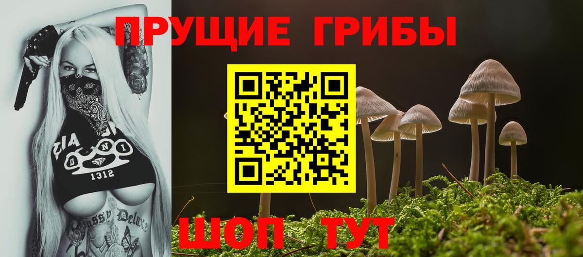 Галлюциногенные грибы Psilocybine cubensis  Галлюциногенные грибы прущие грибы  Вход с VPN  Рославль 